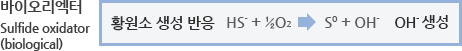 바이오리엑트(Sulfide oxidator biological) : 황원소 생성반응 / HS- + ½O₂ → S0 + OH- : OH- 생성